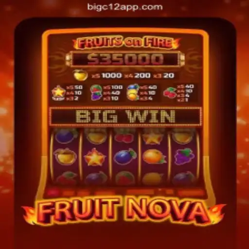 Exploring FruitNova: The Ultimate Online Slot Experience on BIGC12.com in Brazil